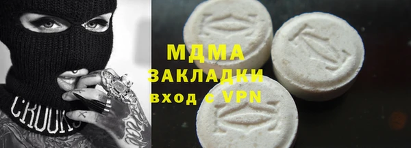 индика Вязьма