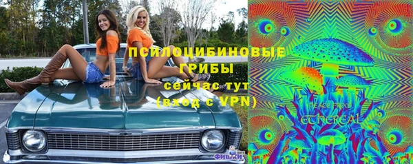 стаф Вязники